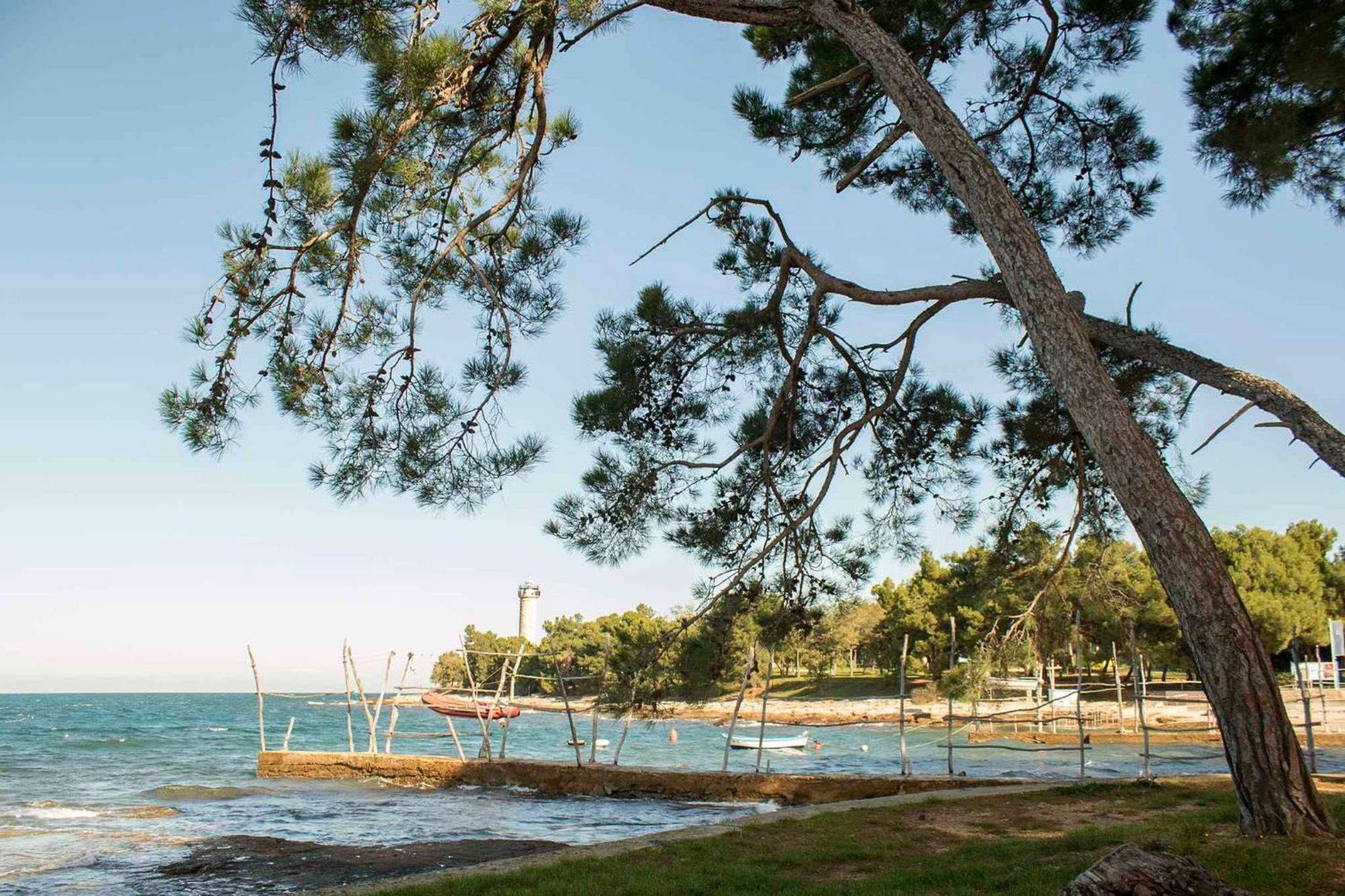 In - Istrien 26738 Apartment Umag